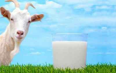 Молоко при панкреатиті підшлункової залози (козяче, коровяче), чи можна пити чи ні