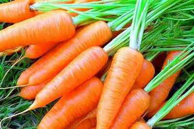 Морква при діабеті: можна чи ні діабетикові?