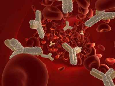 Імуноферментний аналіз крові на паразитів: ціна, як здати кров на глистів