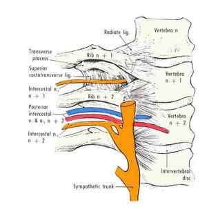 Мязова невралгія: симптоми, лікування і причини
