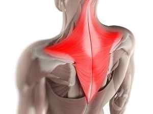 Напруження мязів (Дефанс) спини в грудному відділі і шиї: як зняти спазми мязів, вправи | Ревматолог