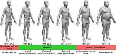 Індекс маси тіла для чоловіків (ІМТ): як привести вагу в норму
