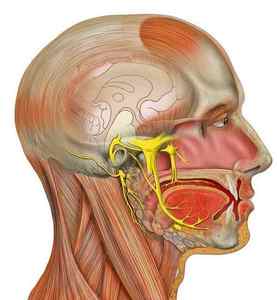 Невринома слухового нерва, симптоми і лікування пухлини, реабілітації