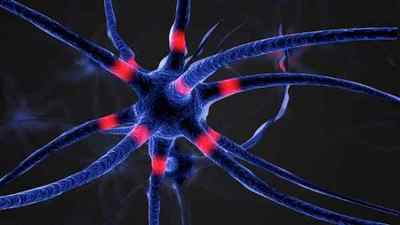Нейродегенеративні захворювання головного мозку і нервової системи