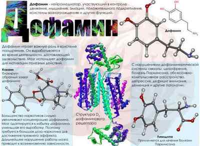 Нейромедіатори: серотонін, дофамін і гістамін