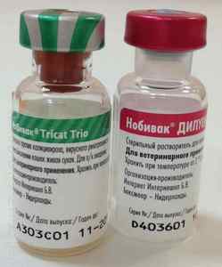 Нобівак від сказу (Nobivac rabies): інструкція до вакцини та її дію