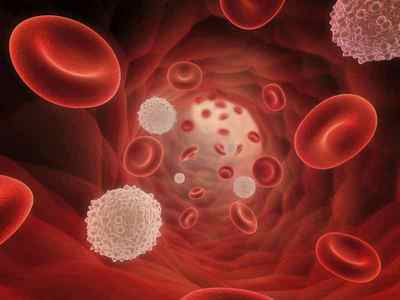 Норма лімфоцитів в крові у жінок, чоловіків та дітей
