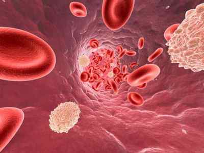 Норми холестерину в крові: для чоловіків і жінок, різного віку
