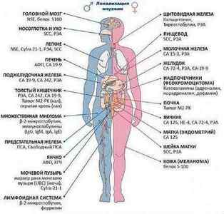 Онкомаркери підшлункової залози (СА 19-9 і інші), що вони показують