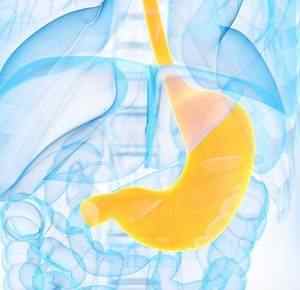 Опущення шлунка: симптоми і ознаки, якими методами діагностувати