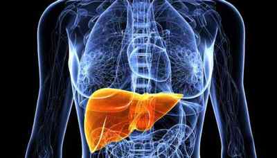 Ожиріння печінки: симптоми, лікування і дієта