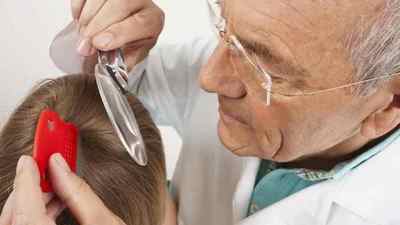 Паразити в волоссі людини крім вошей: лікування волосистої частини голови