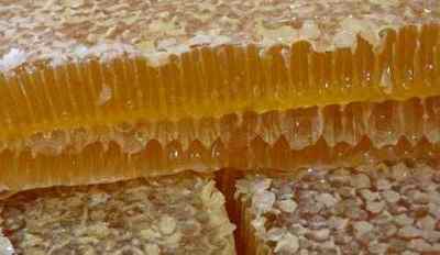 Підшлункова залоза і мед: як він впливає на неї, користь і шкода