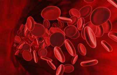 Підвищені лейкоцити в крові дитини: причини і симптоми