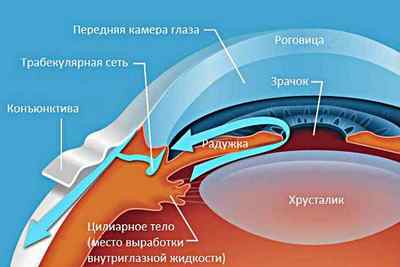 Підвищений очний тиск: симптоми і лікування, ознаки, причини, що робити