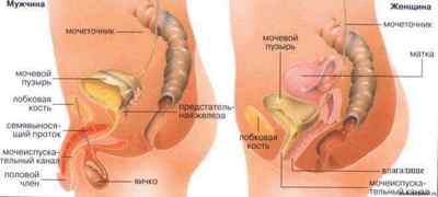 Печіння при сечовипусканні у жінок і чоловіків: причини і лікування