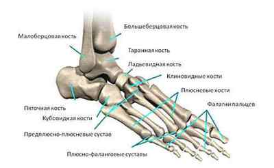 Переломи кісток стопи - ознаки і лікування