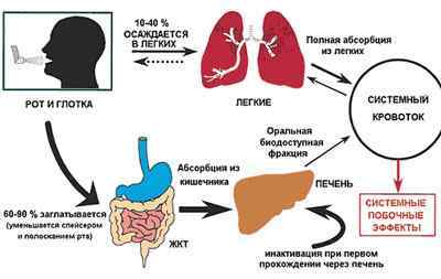 Преднізолон при бронхіті та бронхіальній астмі