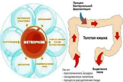 Препарати від газоутворення (метеоризму) в кишечнику і здуття живота