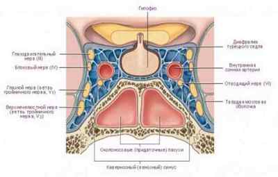 Причини тромбозу кавернозного синуса і методи його лікування