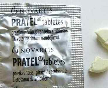 Протел від глистів: інструкція із застосування таблеток Прател (Pratel)