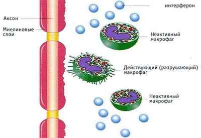 Противірусна терапія при гепатиті С: огляд препаратів
