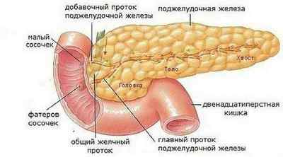 Пухлина підшлункової залози: симптоми і лікування, класифікація, операція
