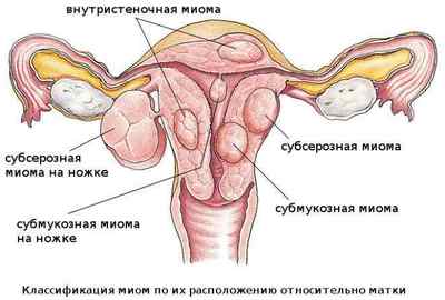 Рослинні жіночі гормони містяться в травах