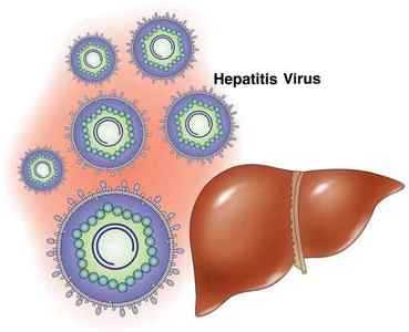 Розшифровка аналізу крові на гепатити В і С