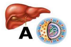 Санітарно-епідеміологічні правила при гепатиті А