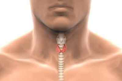 Щитовидна залоза у чоловіків: симптоми і лікування захворювання