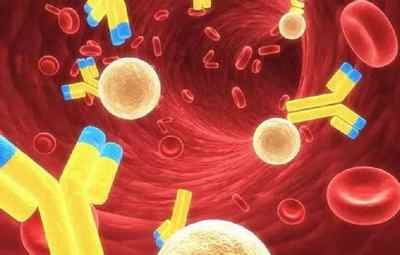 Що показує загальний імуноглобулін Е в аналізі крові