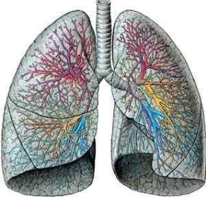 Що таке бронхоектази в легенях і як їх лікувати