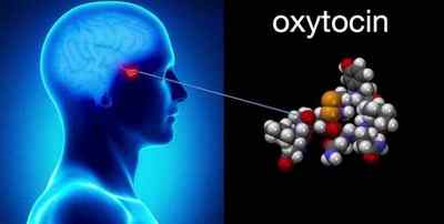 Що таке Окситоцин: як підвищити гормон любові?