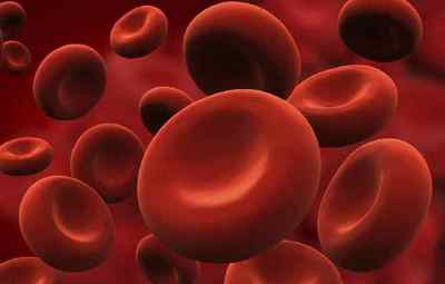 Що таке показник RDW в загальному аналізі крові