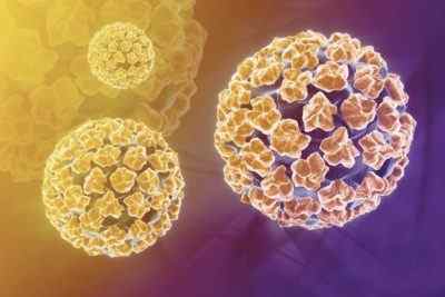 Що таке ВПЛ 31 типу у жінок, як жити з папіломавірусом в ДНК? Лікування