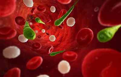 Що таке загальний білок в біохімічному аналізі крові