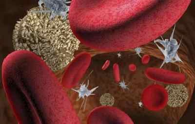 Що значить підвищення тромбоцитів в крові у дорослого