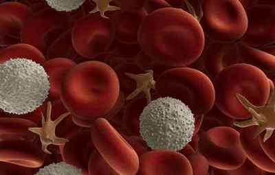 Що значить підвищену кількість тромбоцитів в крові дитини