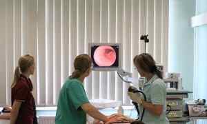 Сігмоскопія: суть процедури, підготовка і проведення