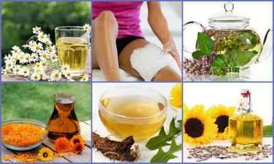 Симптоми і лікування артрозу колінного суглоба в домашніх умовах