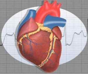 Симптоми неврозу серця