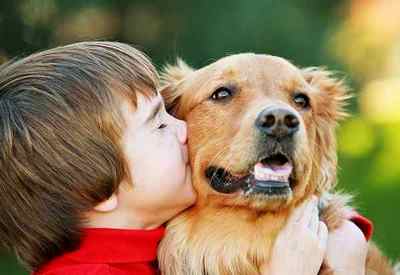 Симптоми і причини алергії на собак у дітей