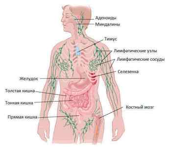 Симптоми раку сечового міхура у жінок і чоловіків