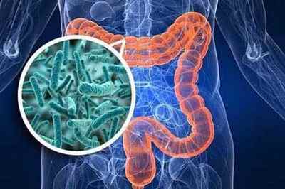 Синдром надлишкового бактеріального росту в кишечнику: симптоми і лікування