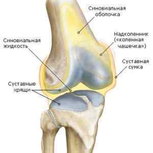 Синовит колінного суглоба: симптоми і лікування в домашніх умовах, що це | Ревматолог