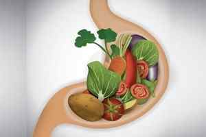 Скільки перетравлюється їжа в шлунку людини: таблиця, що впливає на це