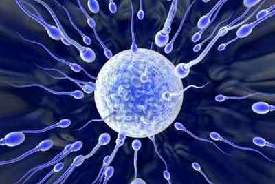 Скільки потрібно сперми, щоб завагітніти: багато чи ні