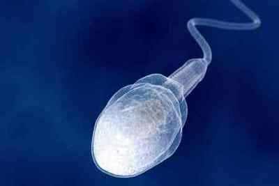 Скільки потрібно сперми, щоб завагітніти: багато чи ні
