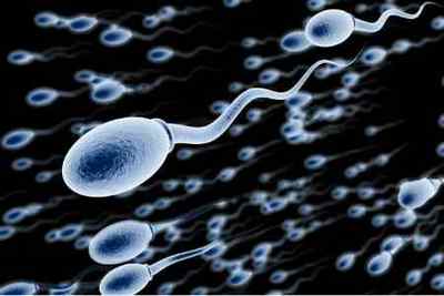 Скільки живуть сперматозоїди в піхві, повітрі та інших умовах